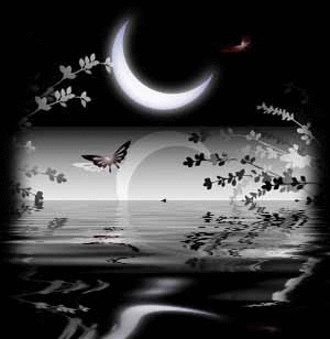 gece_islamcokguzelicknet.gif