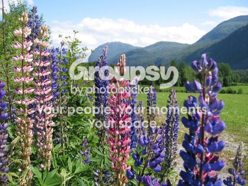 clip_image007.jpg