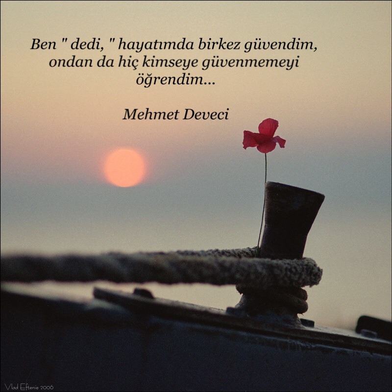 tumblr_o6a8cc5Bg01s998qto1_1280.jpg