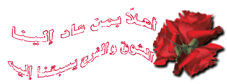 1904.gif