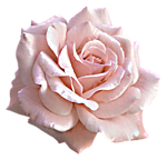 0_badd3_f3f71875_XL.png