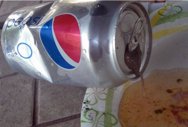 mouse_in_the_pepsi_03.jpg