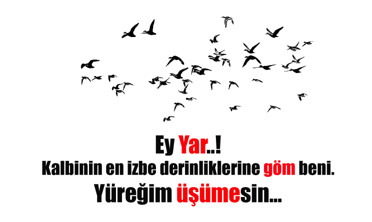 Untitled-2.png
