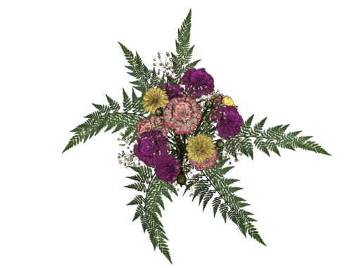 0_7eadb_a24e6b36_L
